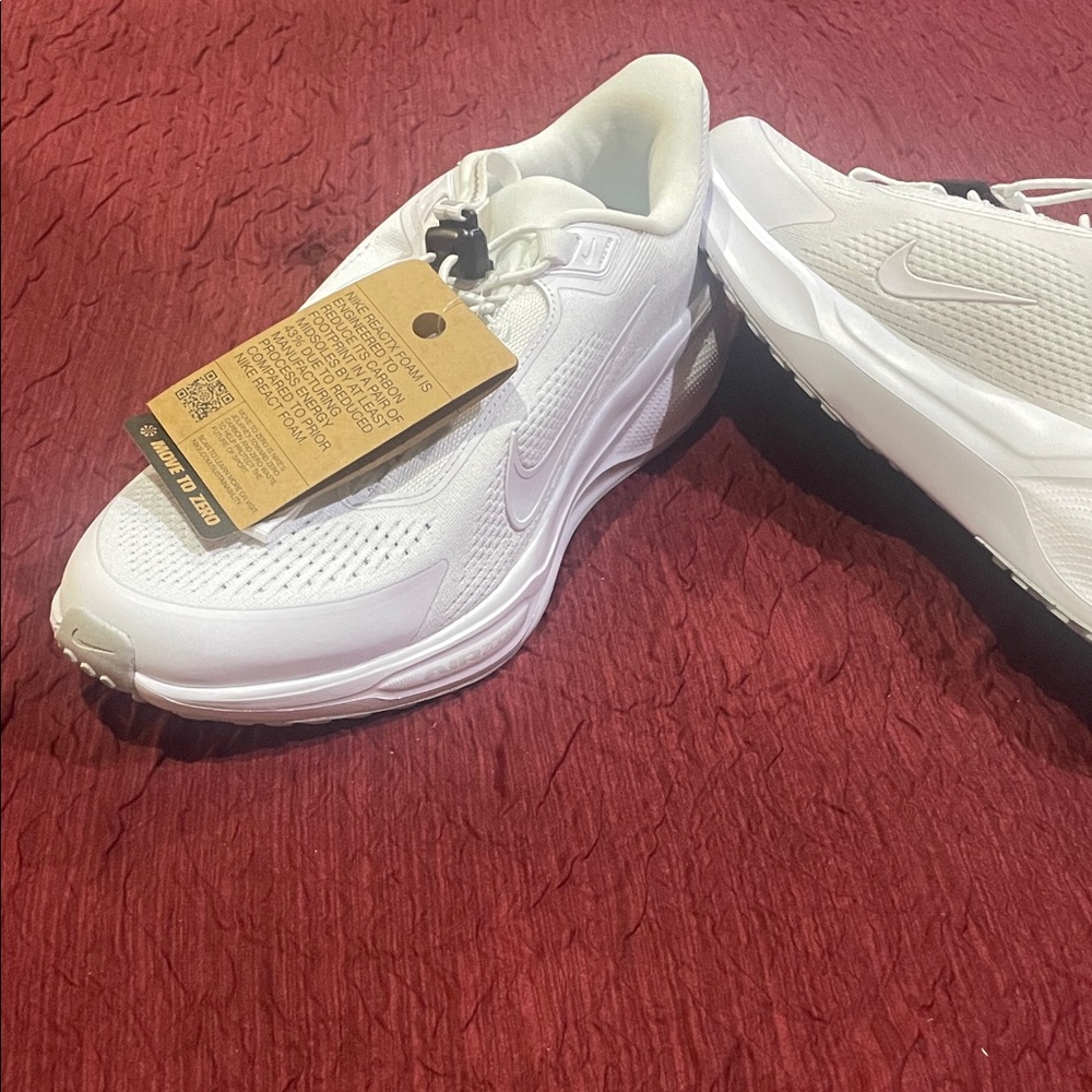 Nike Air Zoom Pegasus
41 EasyOn (New)